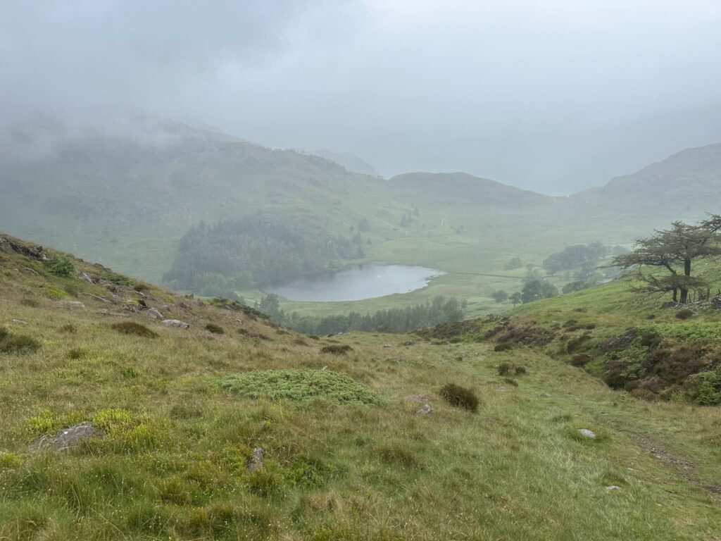 View of Blea Tarn from Lingmoor Fell