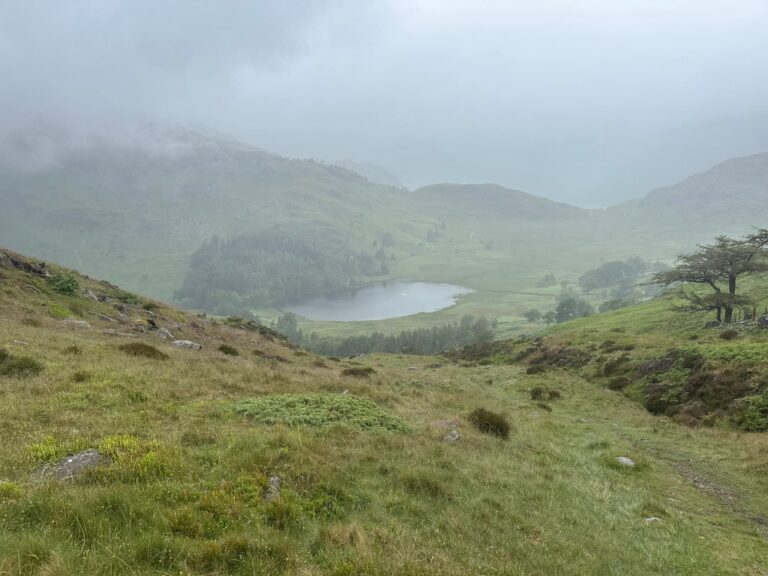 View of Blea Tarn from Lingmoor Fell