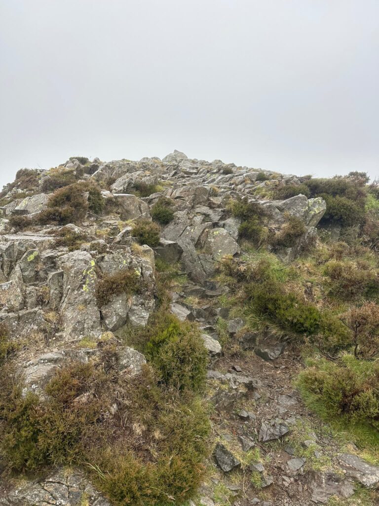 Lingmoor Fell summit