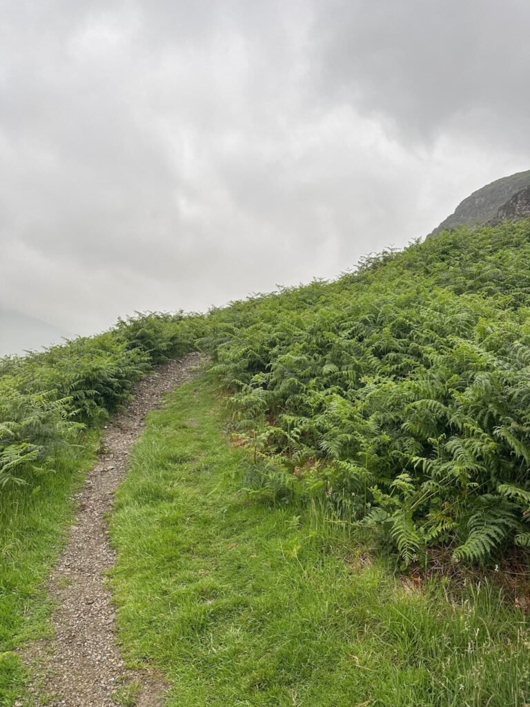 A path up Lingmoor Fell