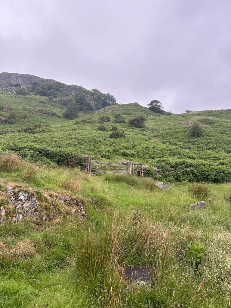 Wooden gates leading to Lingmoor Fell