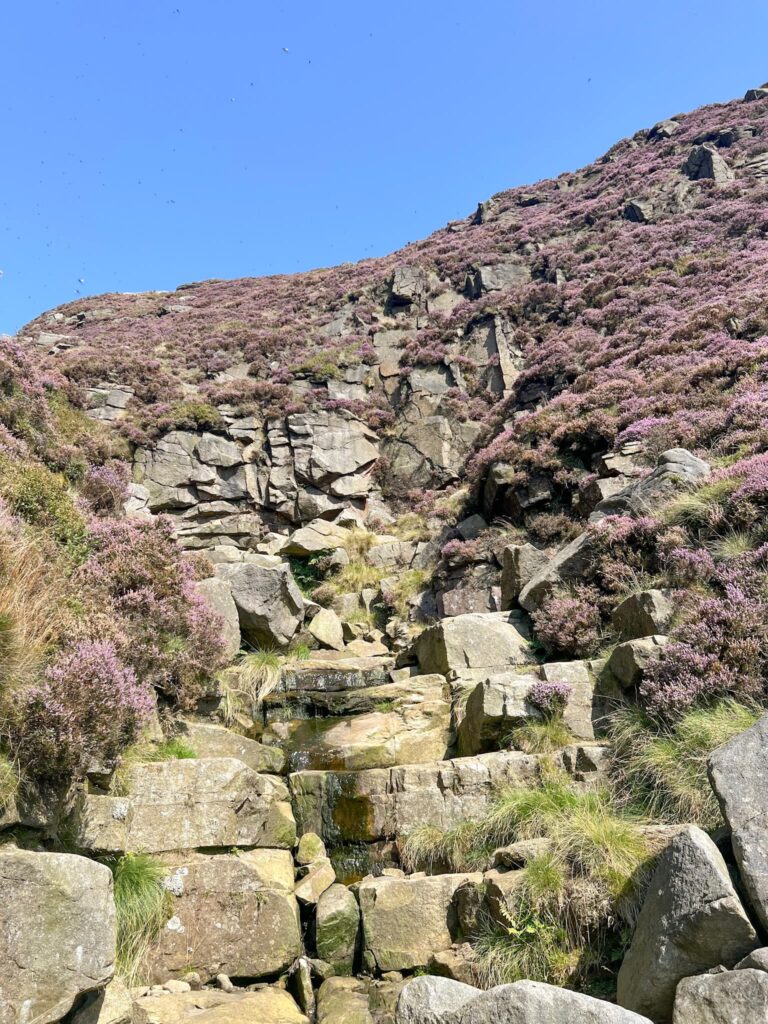 Crowden Clough