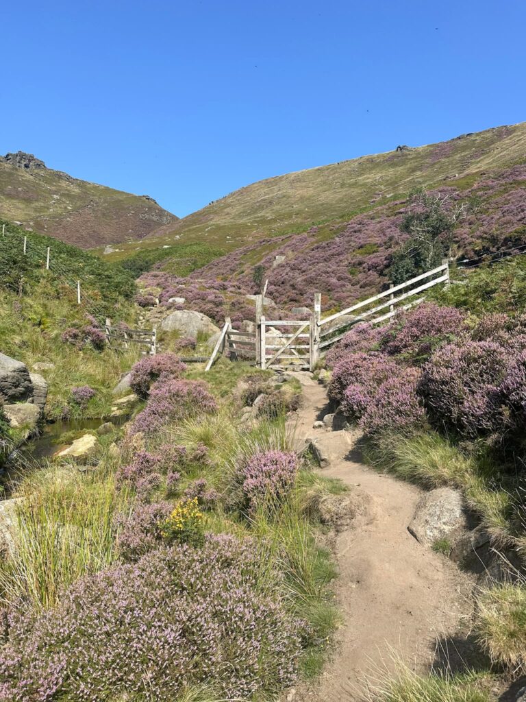 Crowden Clough