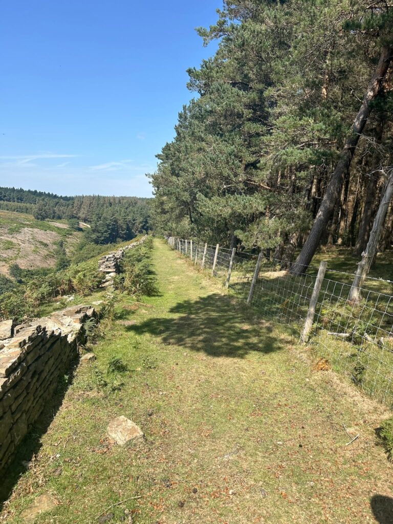 A path running between a wall and a woodland