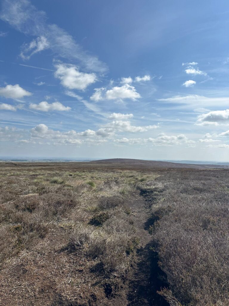 View of Pike Lowe
