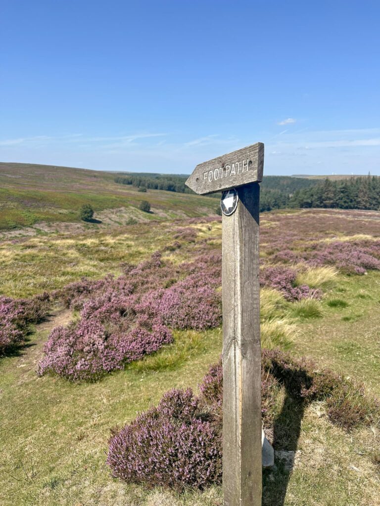 A wooden signpost