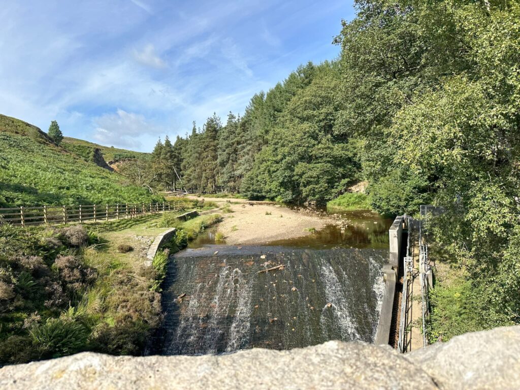 A view over the River Don or Little Porter