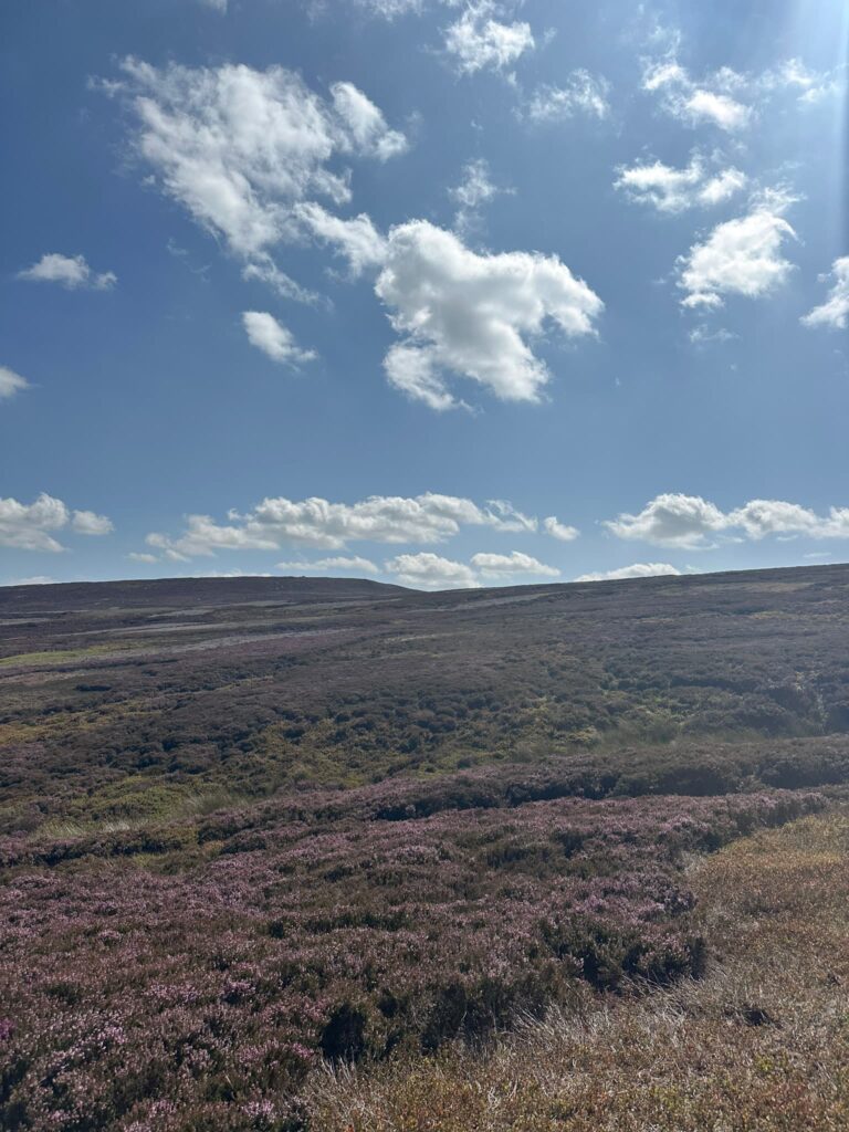 A view of Pike Lowe