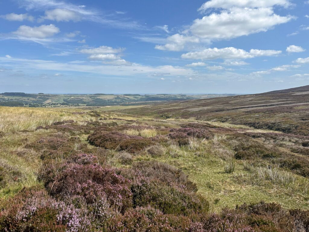View to Langsett from Pike Lowe