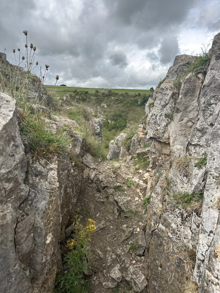 A view through a craggy limestone outcrop