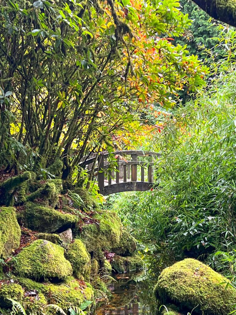 A wooden bridge over a pond