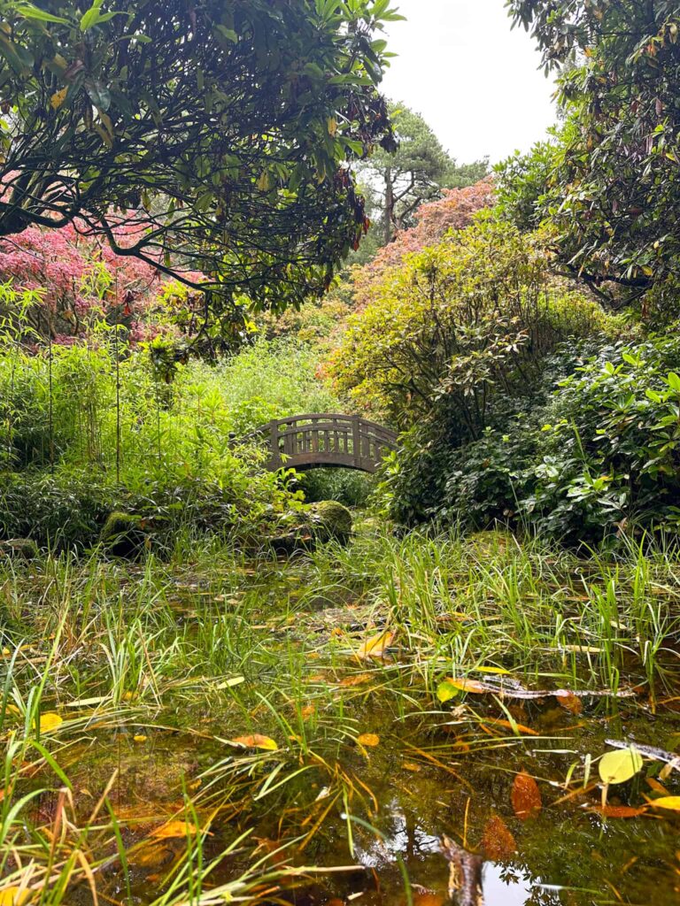 A bridge over a pond