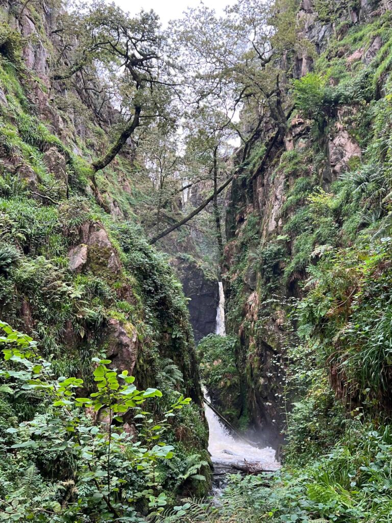 Stanley Ghyll waterfall