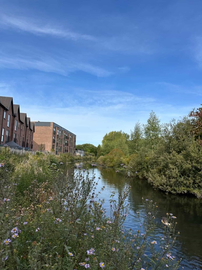 A canalside view