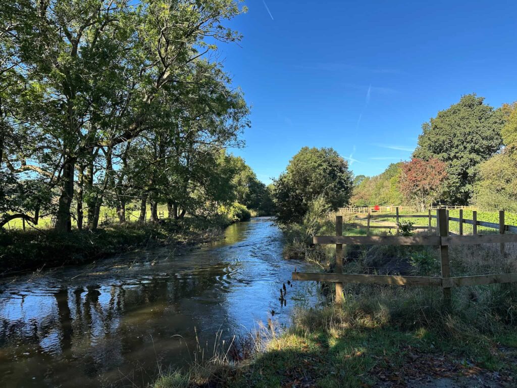 A view of a river in a nature reserve