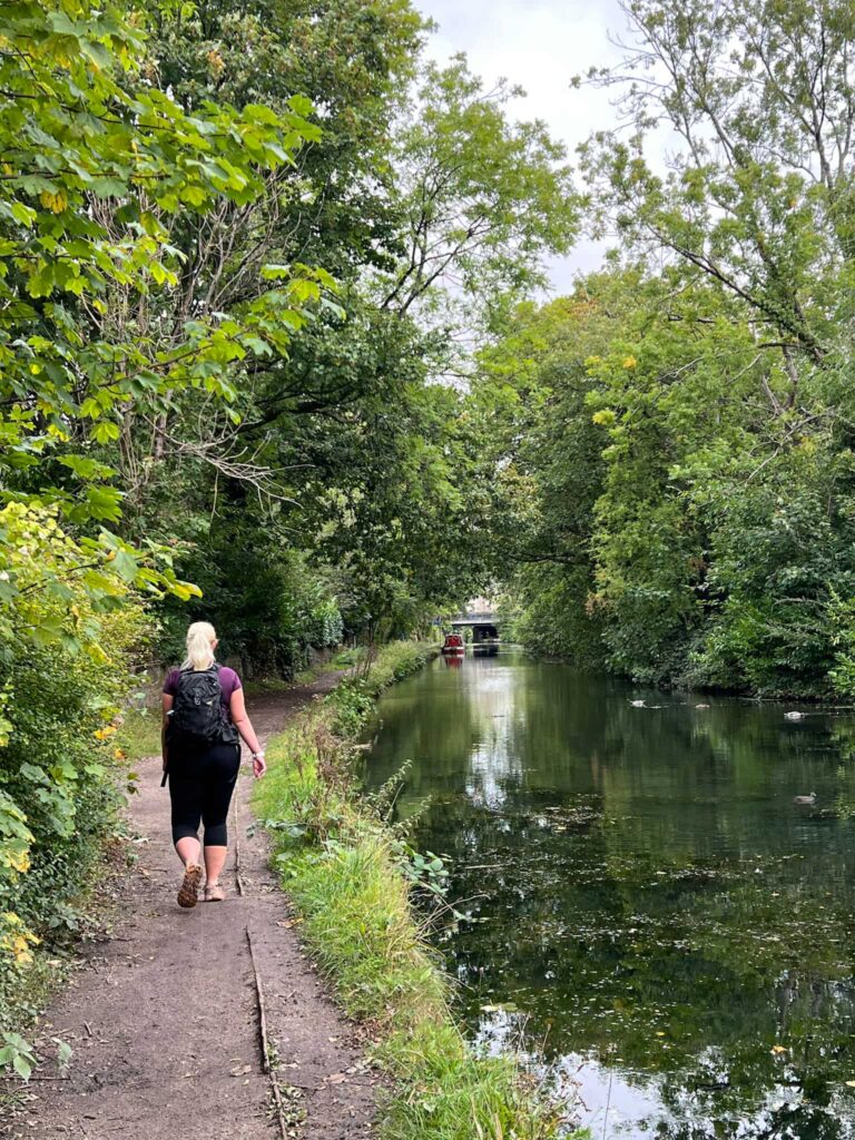 Steel Cotton Rail Trail views