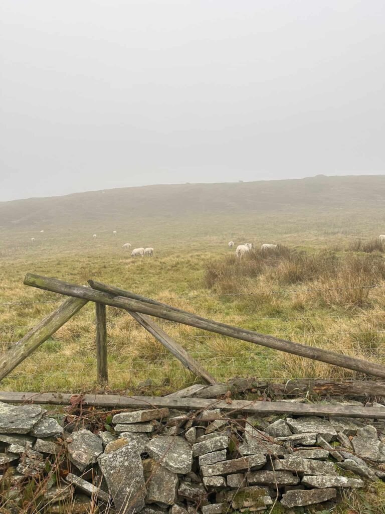 A broken stone wall and a barbed wire fence