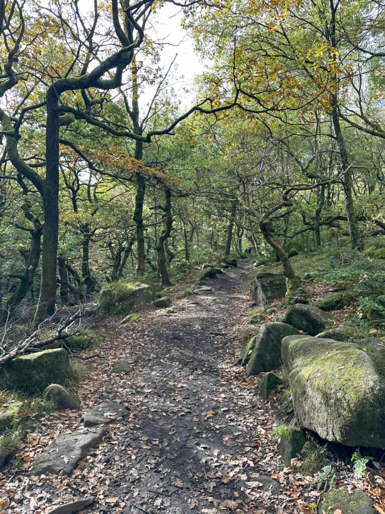Padley Gorge