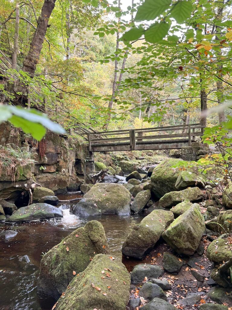 A wooden bridge over a stream