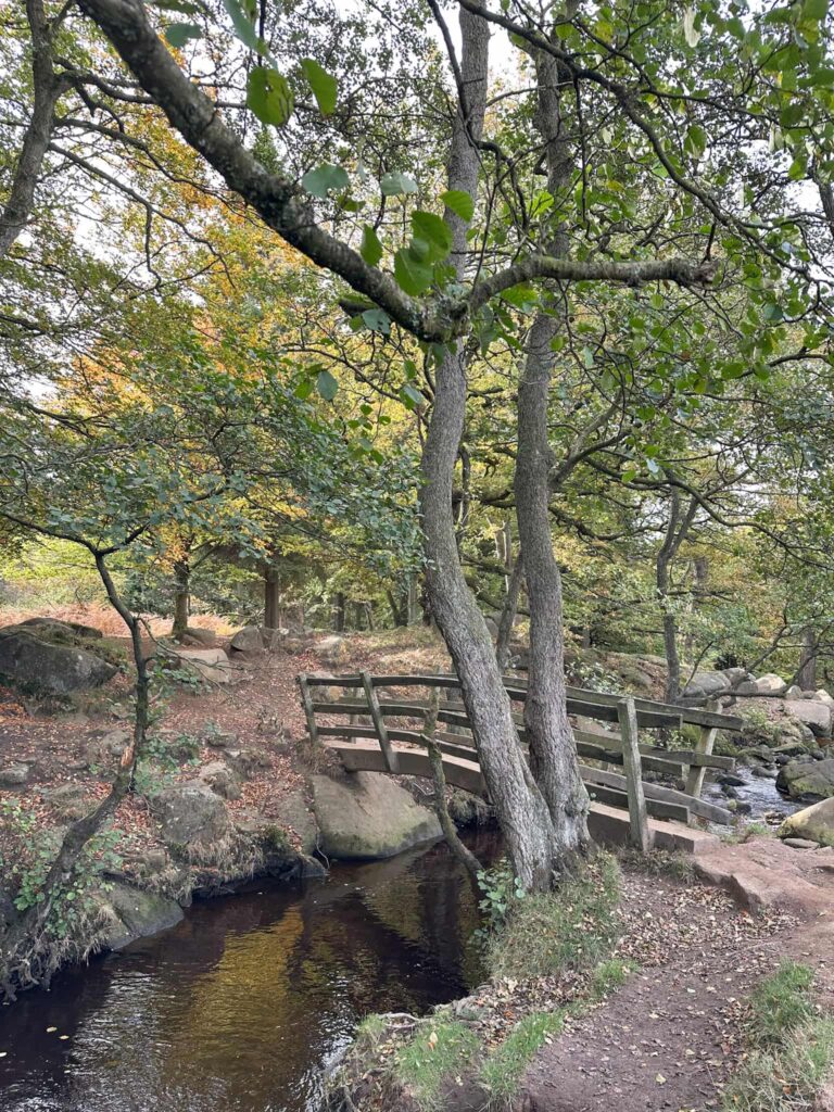 A bridge over Burbage Brook