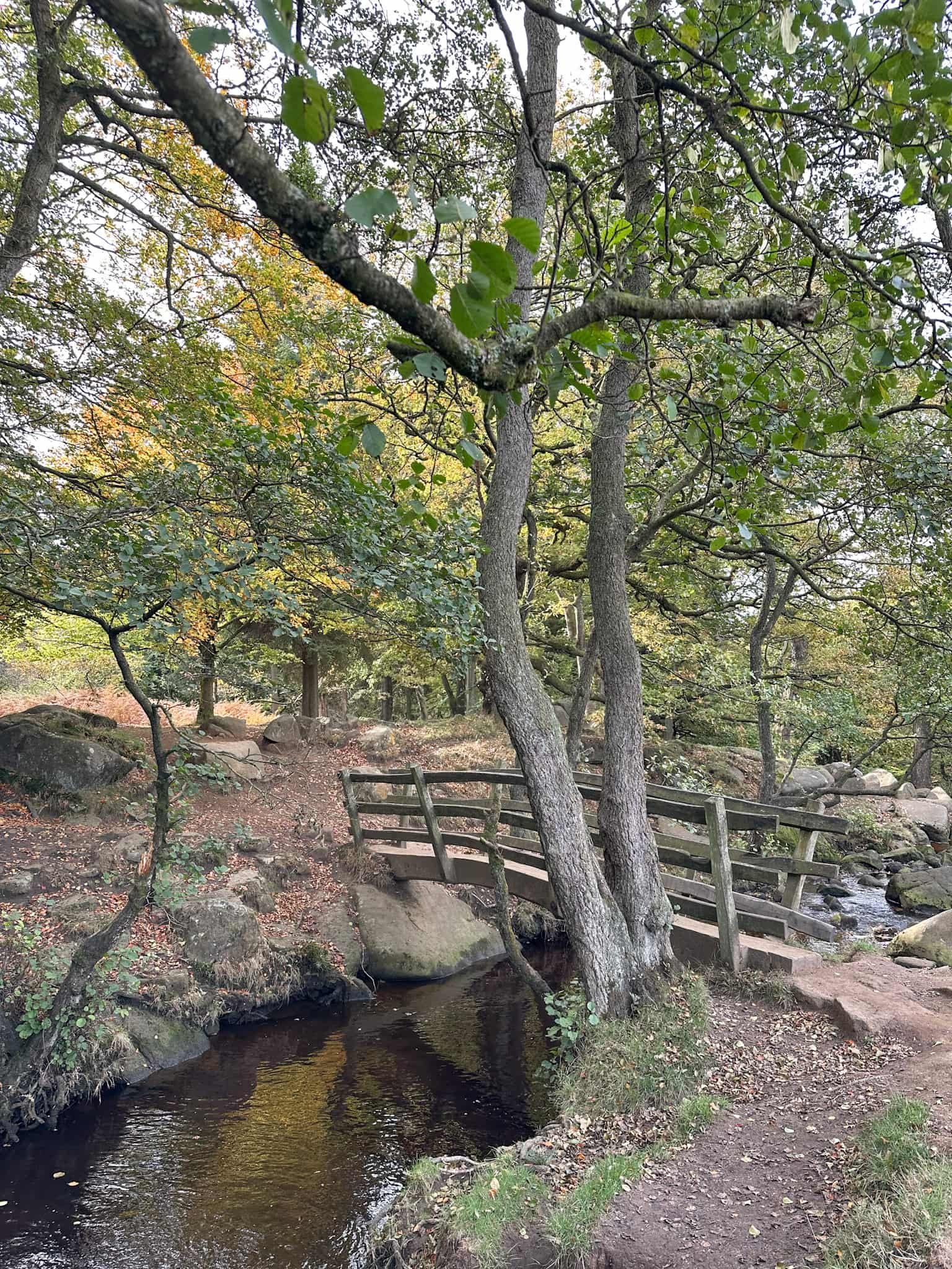 A bridge over Burbage Brook