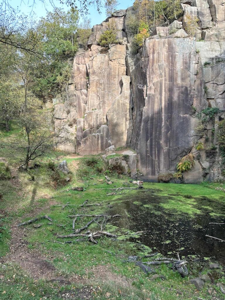 Bolehill Quarry poo