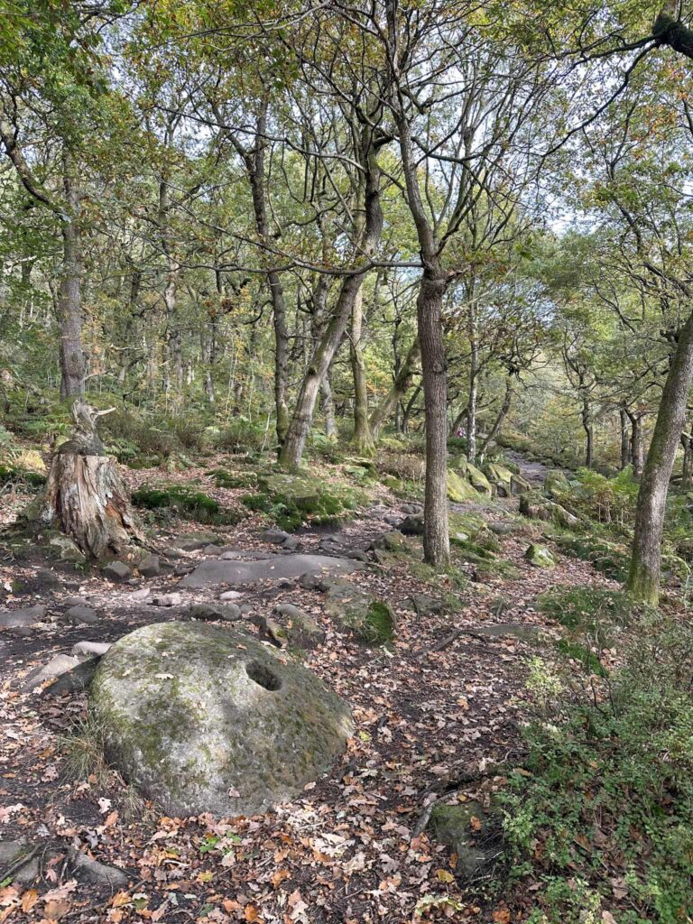 A millstone in Derbyshire woodland