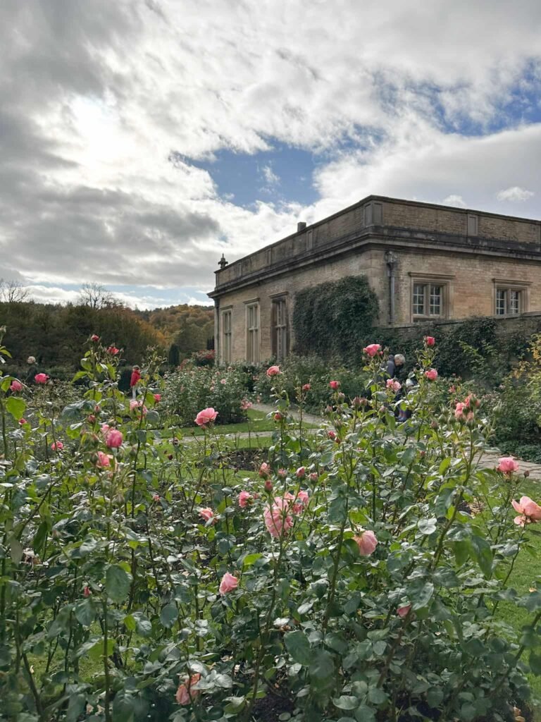 Lyme Park Gardens