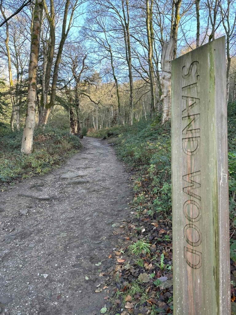 Stand Wood, Chatsworth