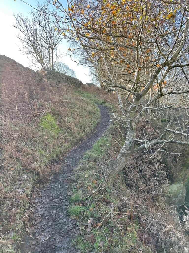 Woodland walk near Chatsworth