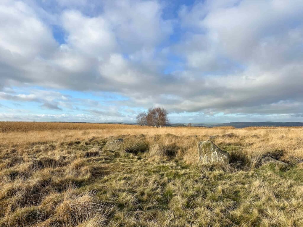 Park Gate Stone Circle
