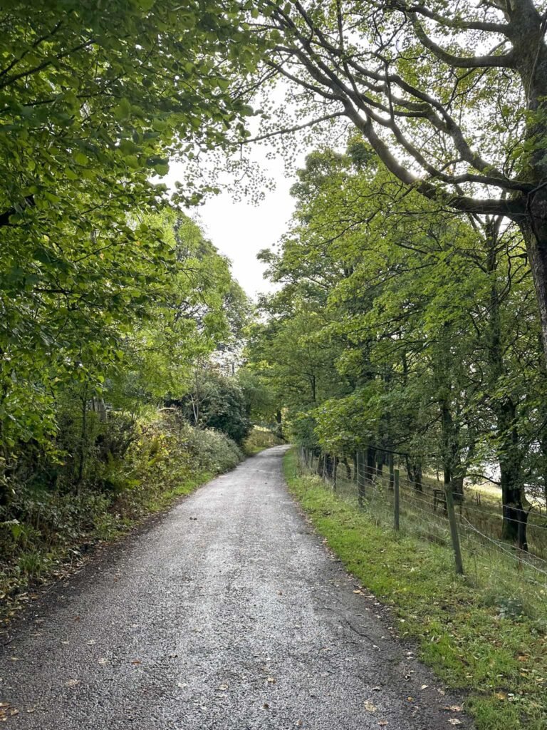 The lane running alongside Ladybower Reservoir