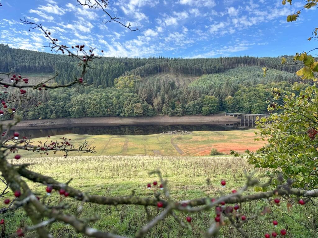 Marks from the kitchen garden of Derwent Hall,