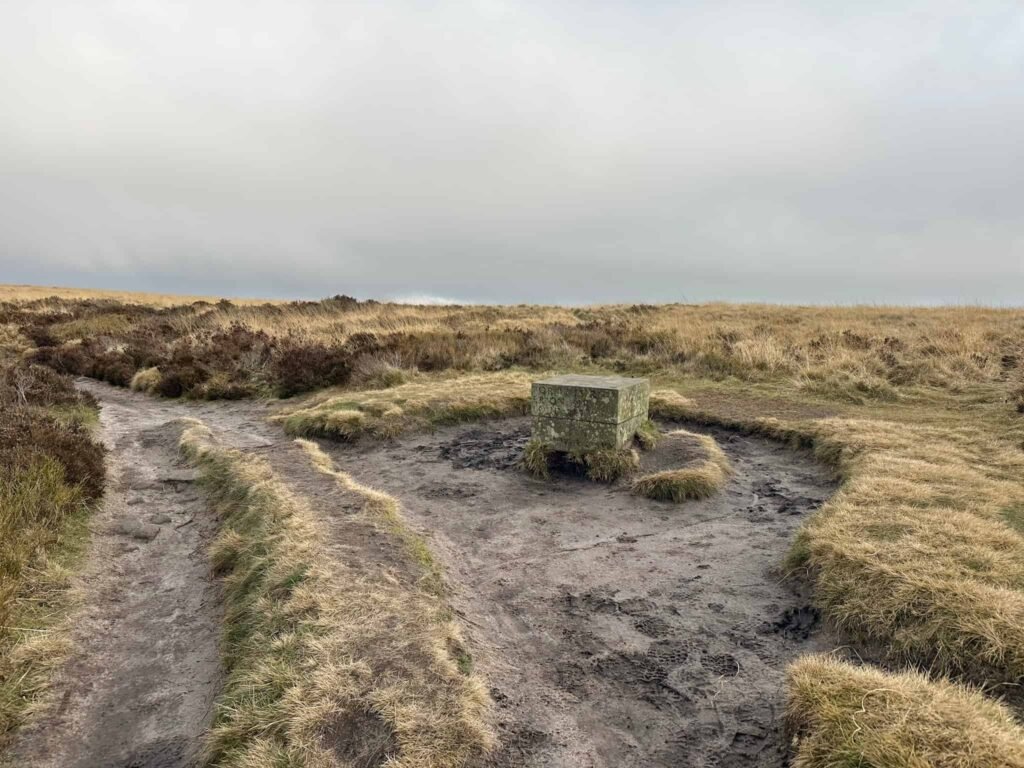 Companion Stone on White Edge