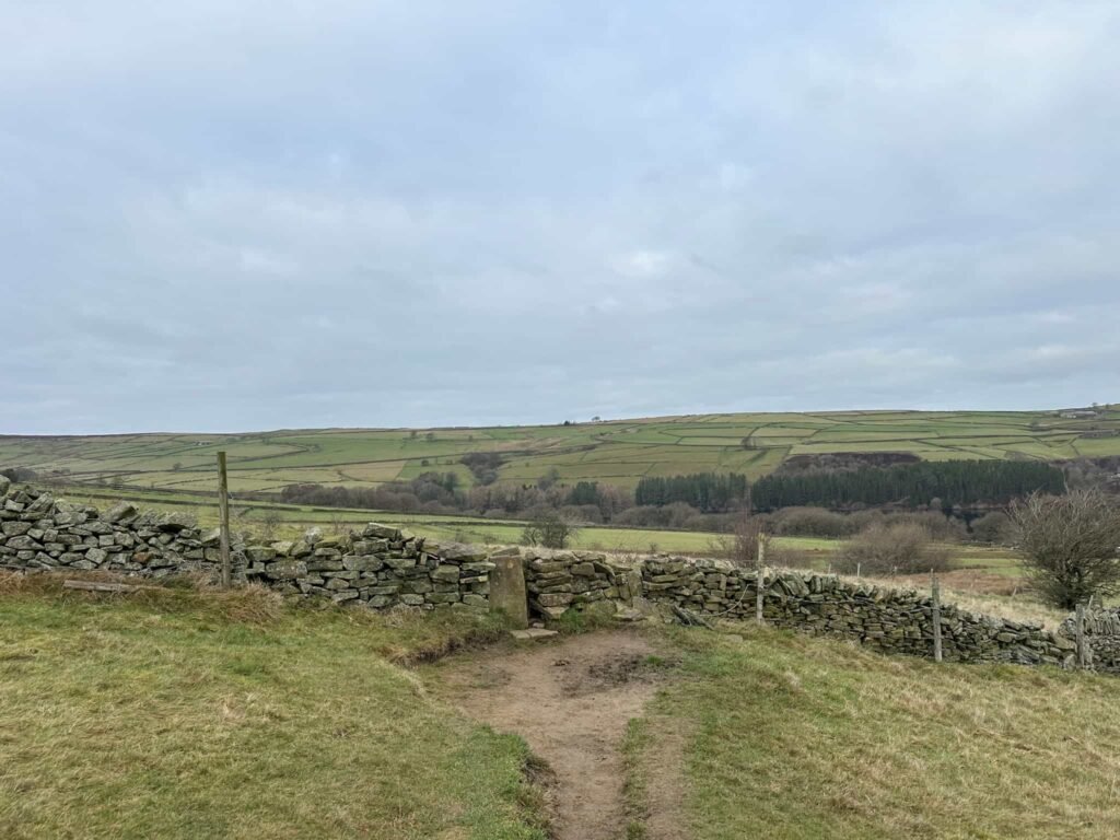 A view of a stone wall