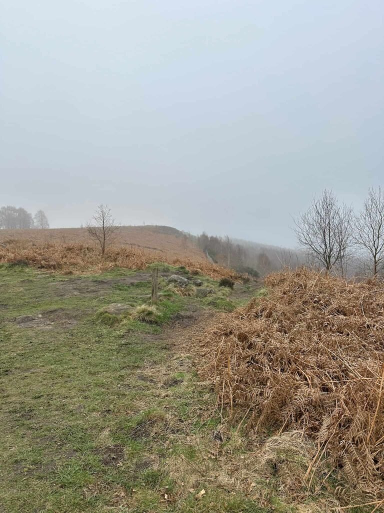 A misty moorland view