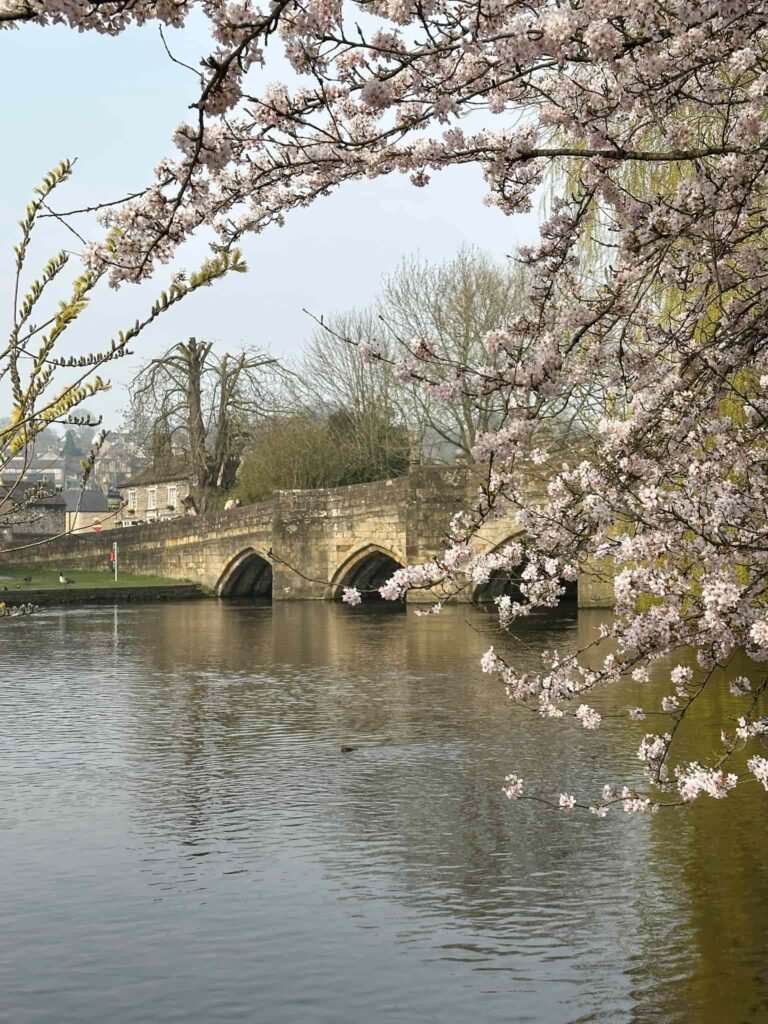 Bakewell Bridge with some cherry blossom