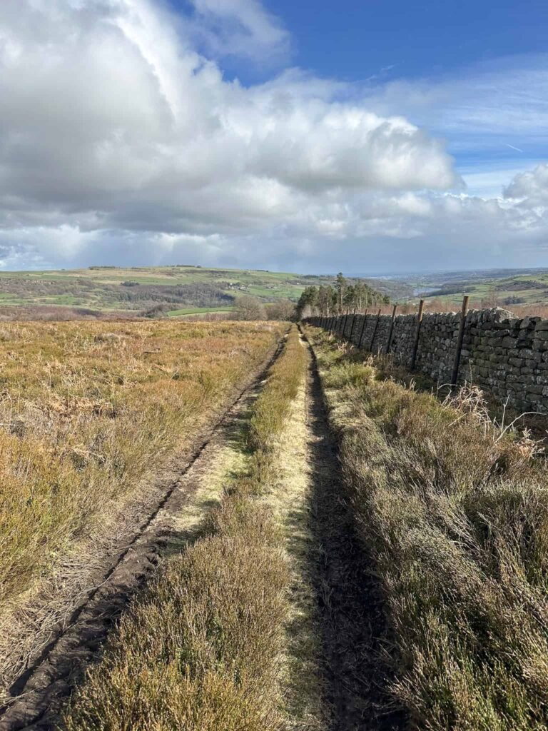 A moorland path