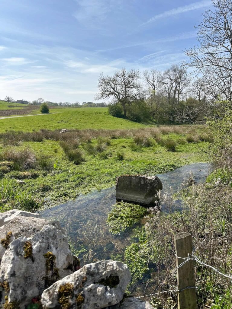A large stone sat in Rowlow Brook