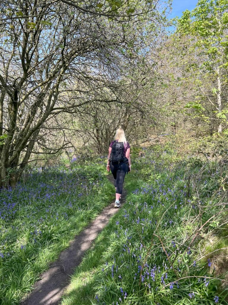 A woman walking through a bluebell woodland