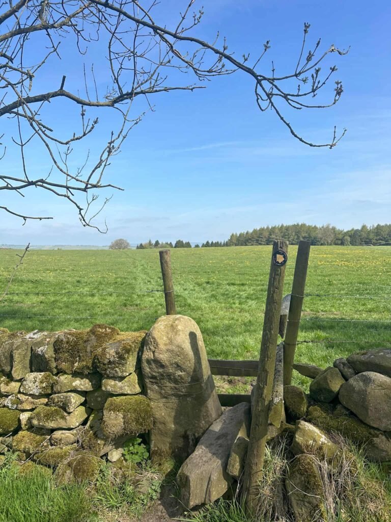 A stile leading to a green field with blue skies