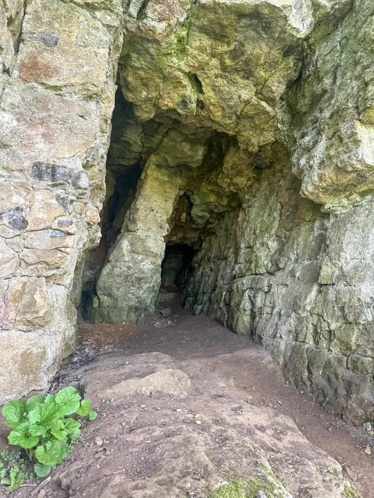 A cave or old mine shaft