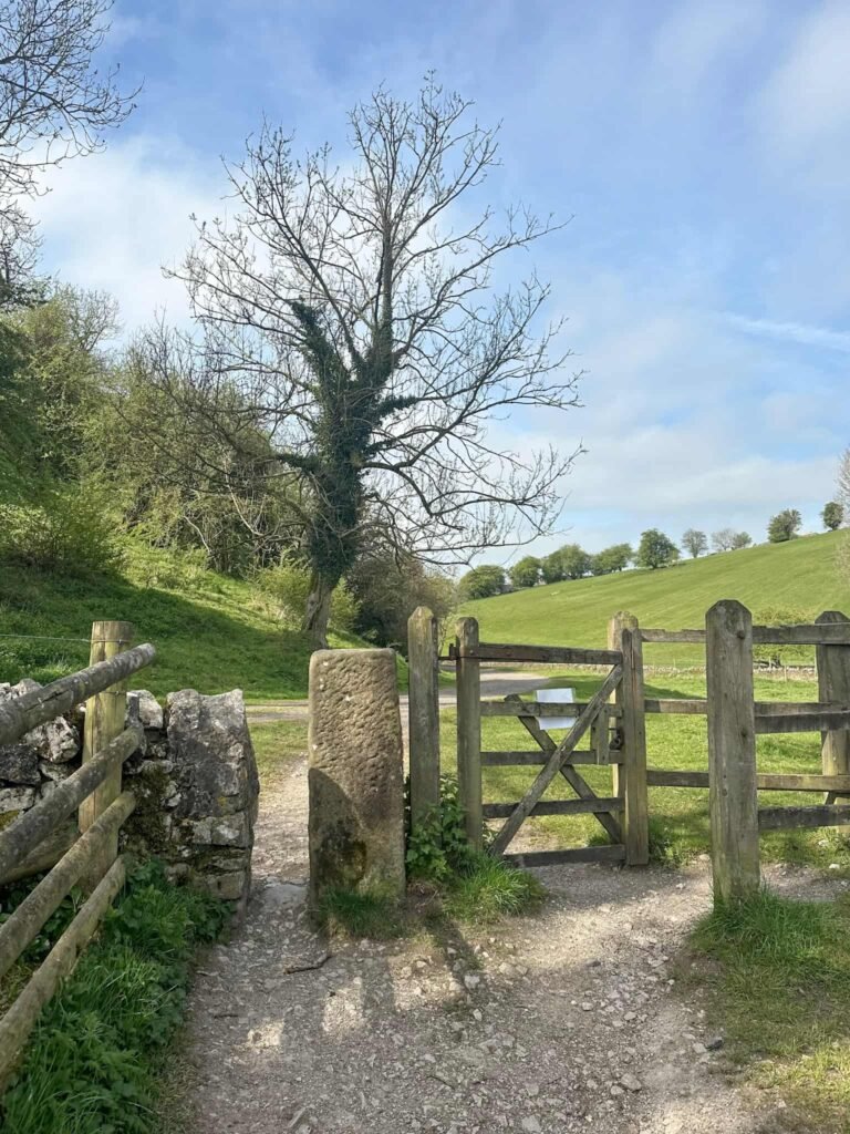 A wooden gate with green fields beyond
