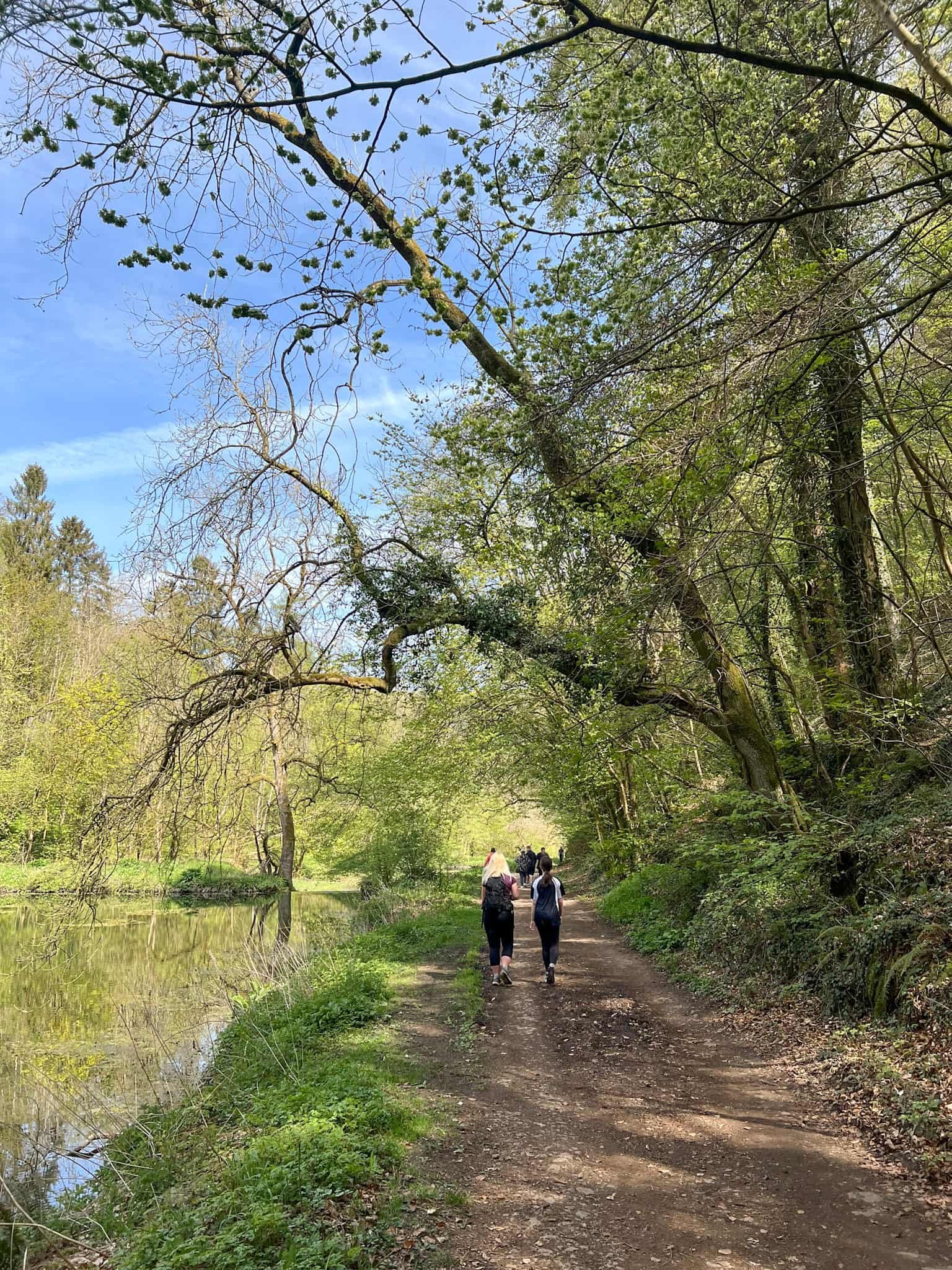 A woman and her daughter walking through Bradford Dale