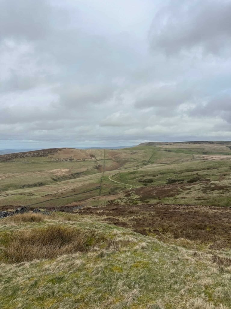 View of Wild Moor