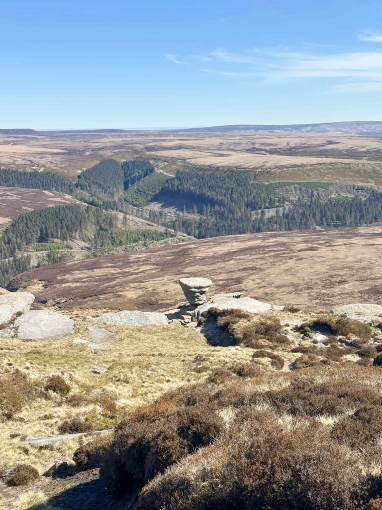 A view down Fairbrook Naze over to Westend Moor