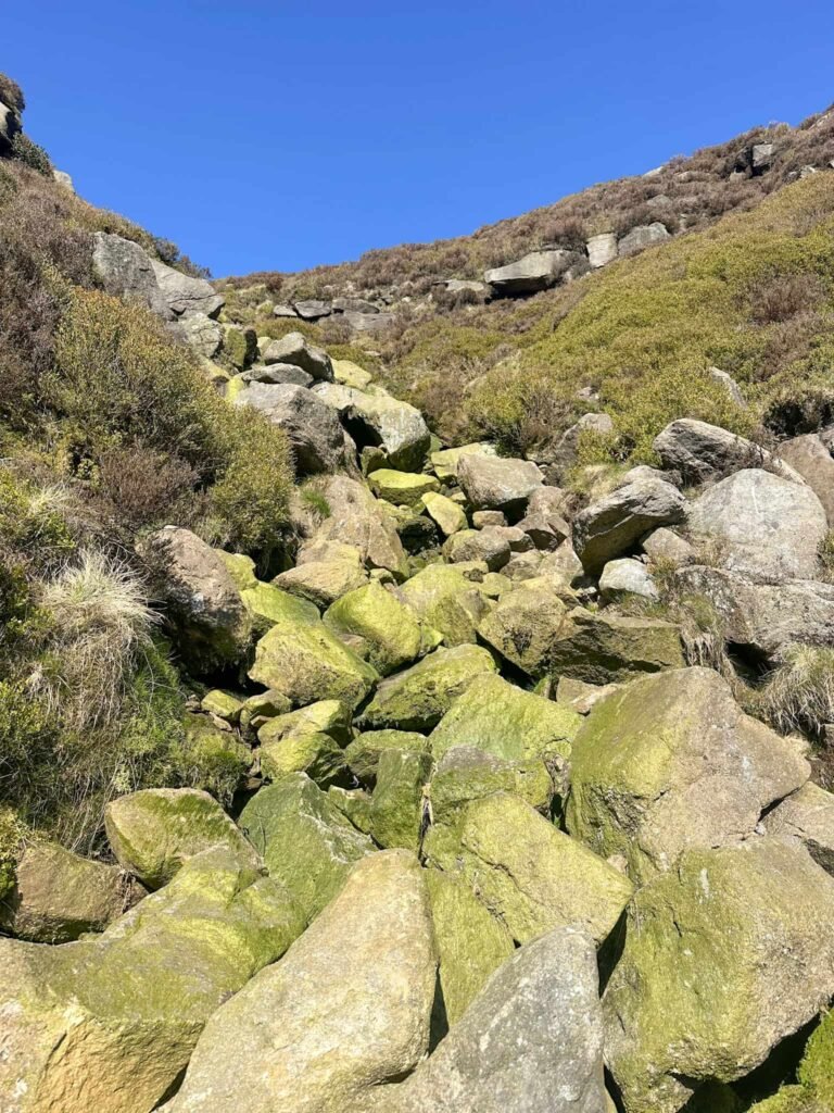 Rocks in Blackden Brook