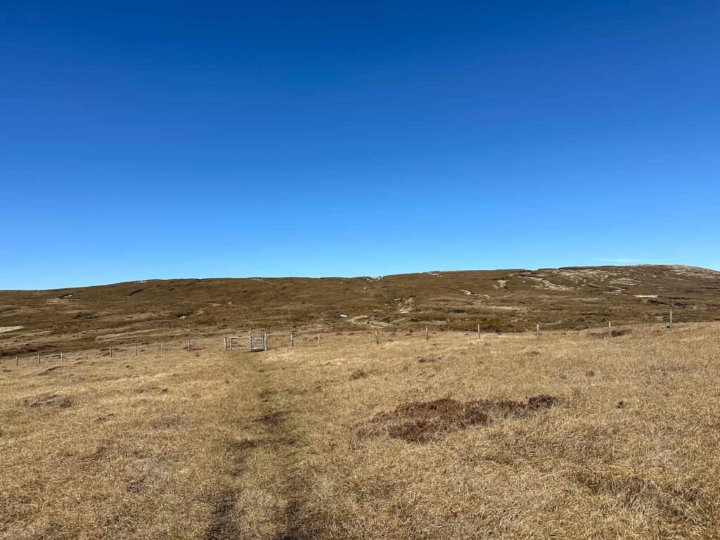 Bleak open moorland near Bleaklow Stones