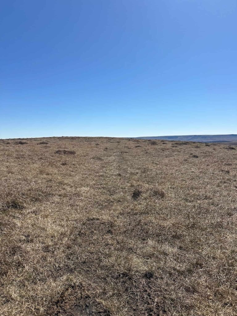 A featureless moorland path