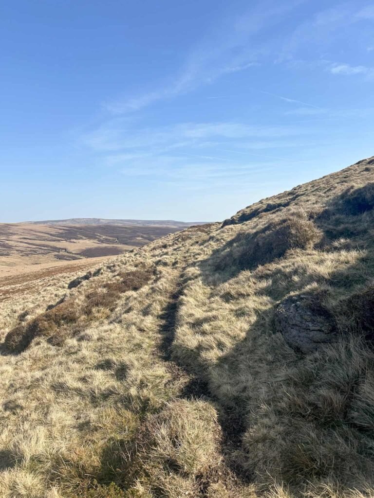 Grassy path on Black Ashop Moor